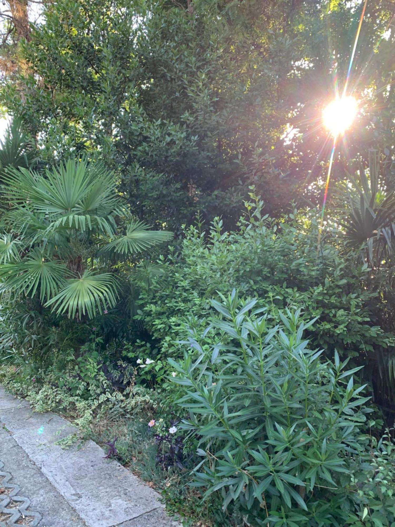 Sheltered Green Oasis In Opatija Exterior foto